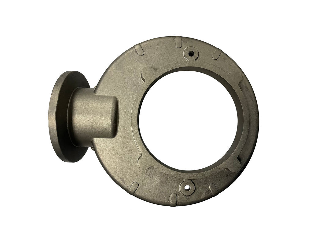 Cutomized Investment Casting Stainless Steel Parts for Booster Pump Body